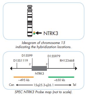 NTRK3 break apart